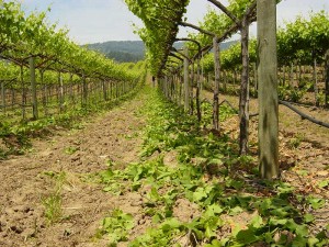 June